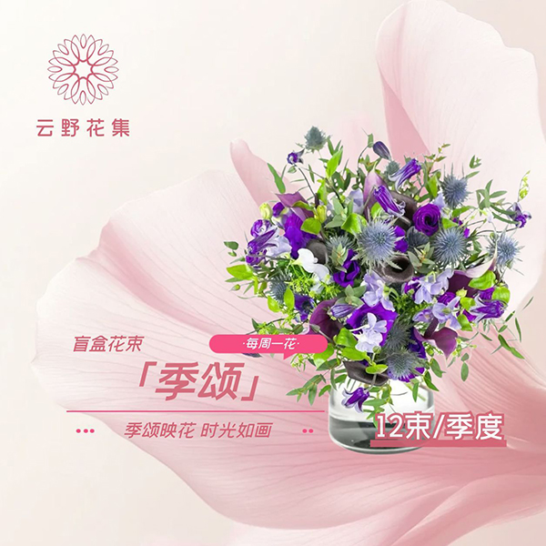 —季颂(十二束盲盒款)